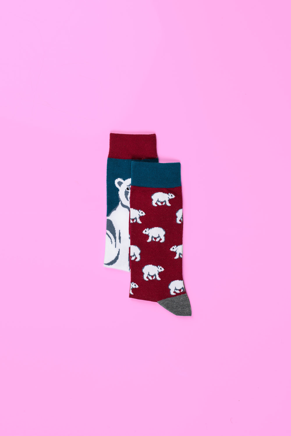 socks in red, blue and white colour with bear picture on it