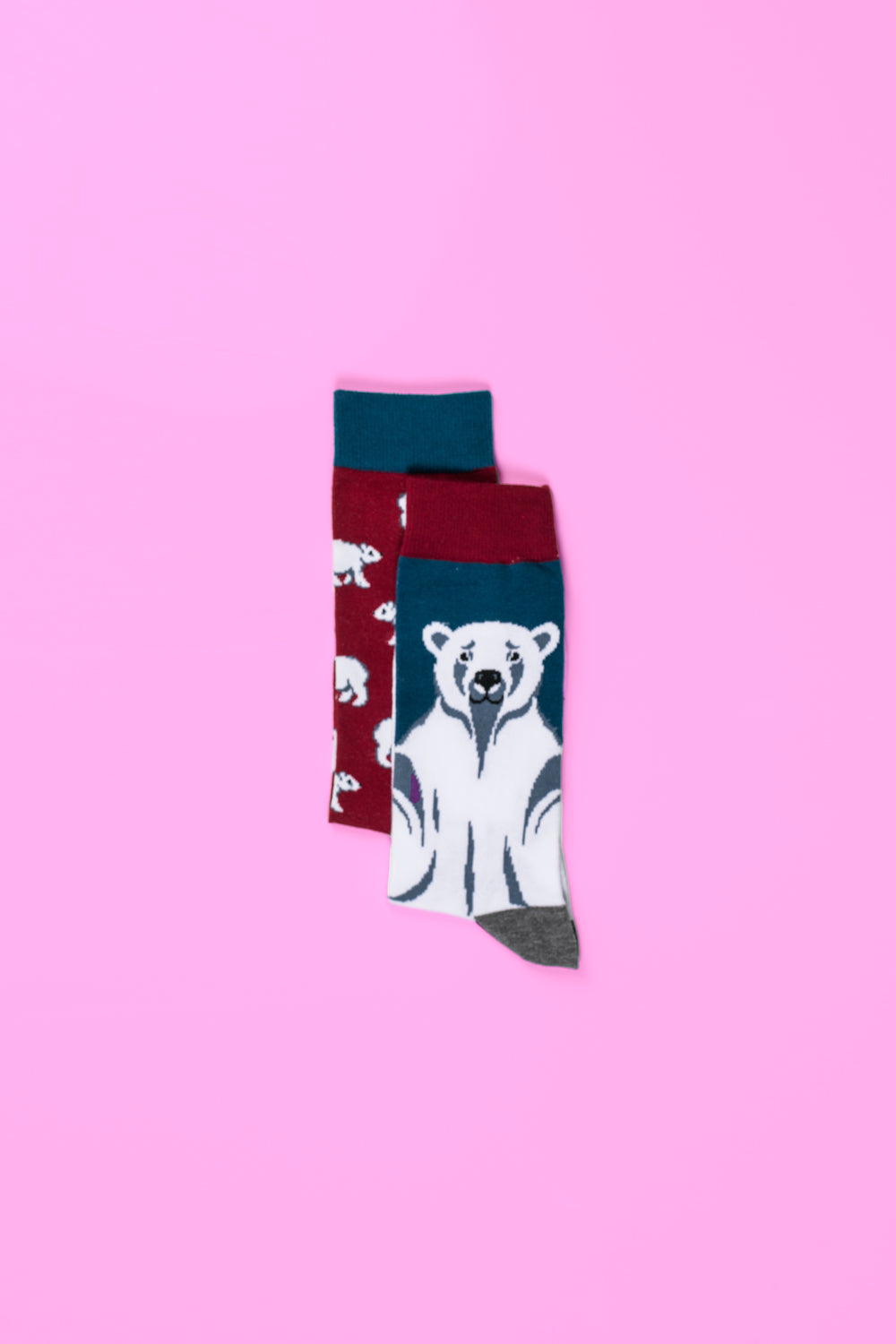 socks in red, blue and white colour with bear picture on it