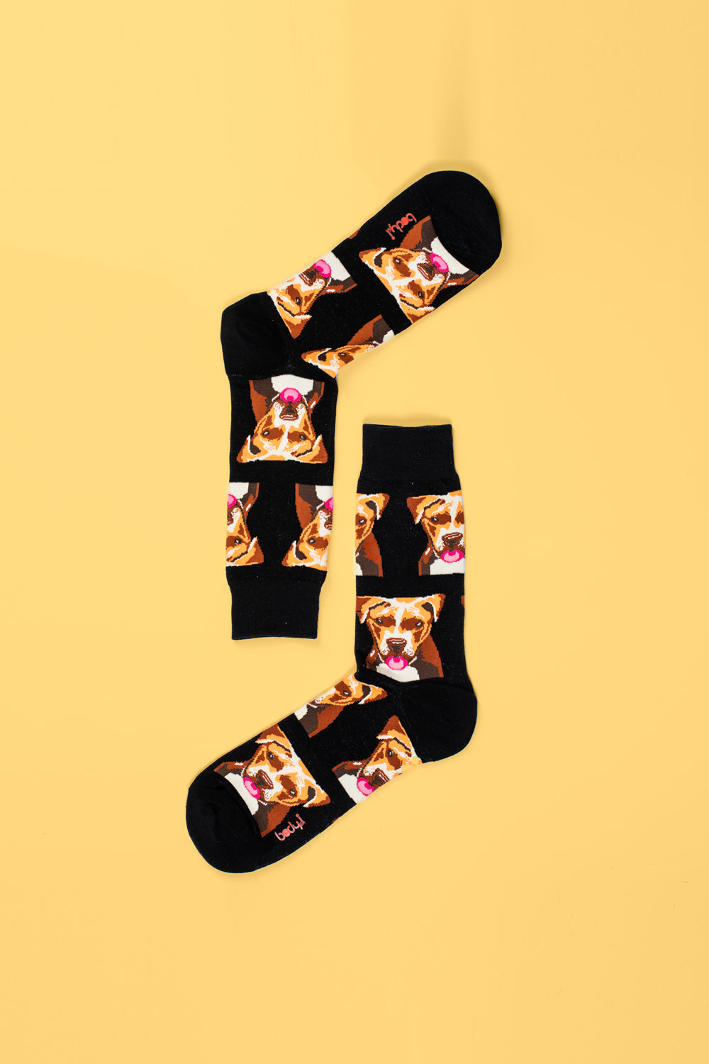 Dog Pattern Socks - Pack of 4