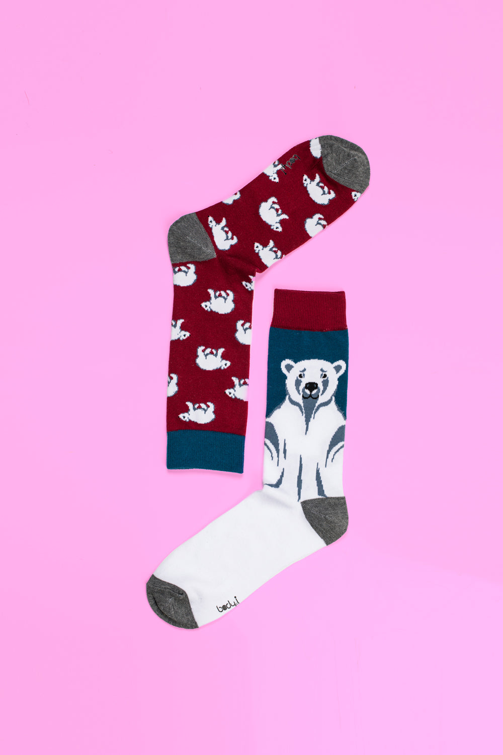 socks in red, blue and white colour with bear picture on it