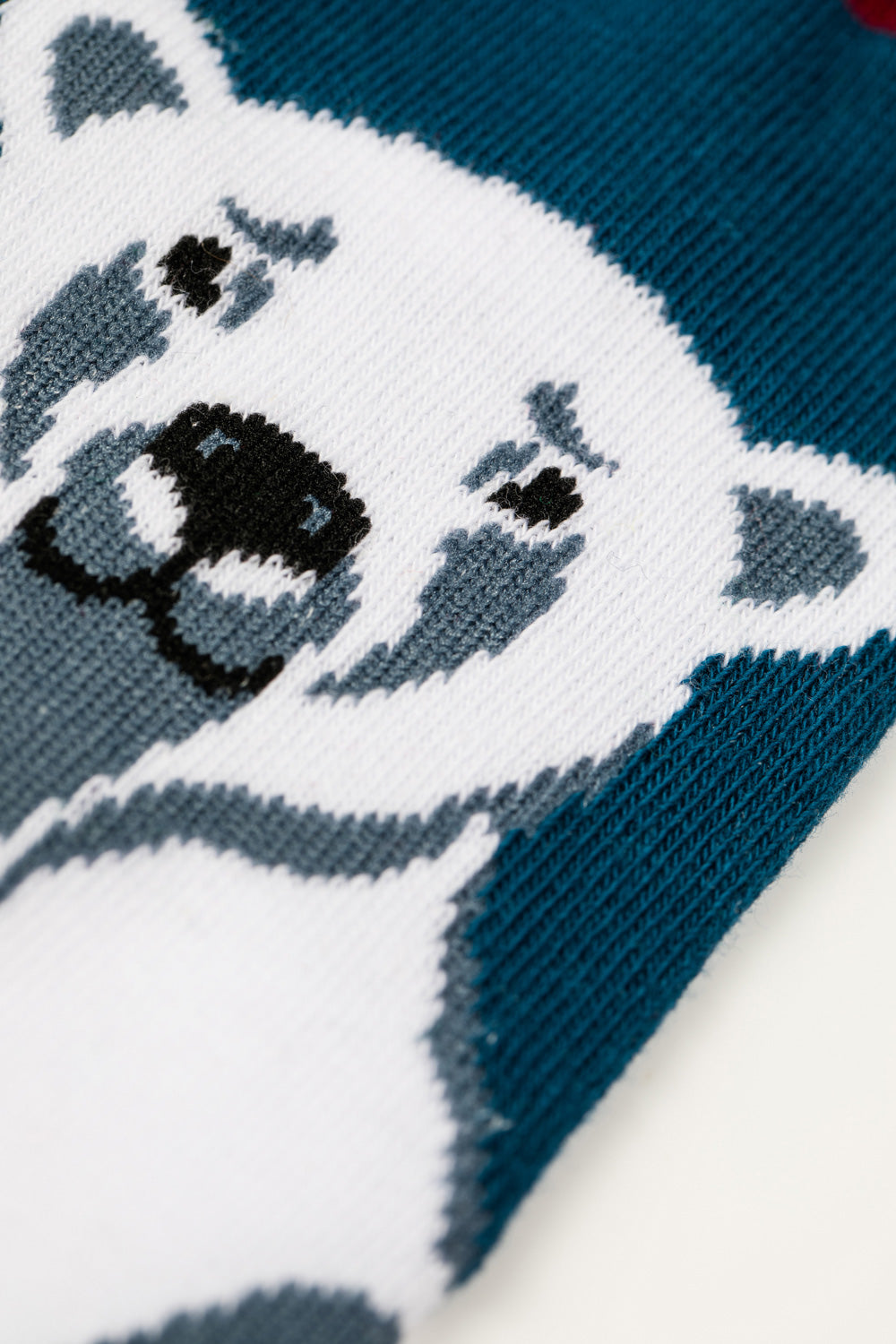 socks in red, blue and white colour with bear picture on it