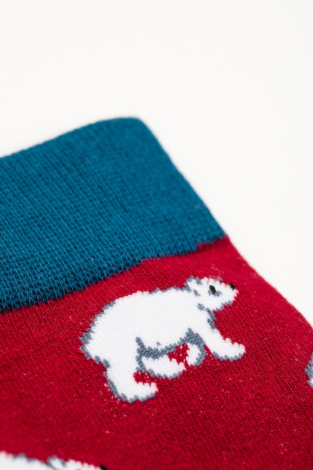 socks in red, blue and white colour with bear picture on it